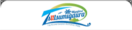 Tsustumigaura