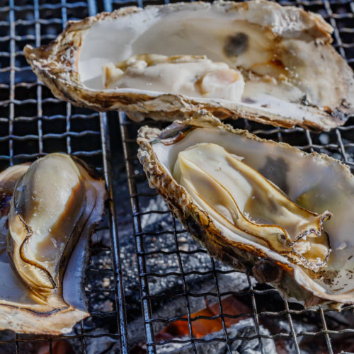 宮島 包ヶ浦自然公園 BBQ レンタル